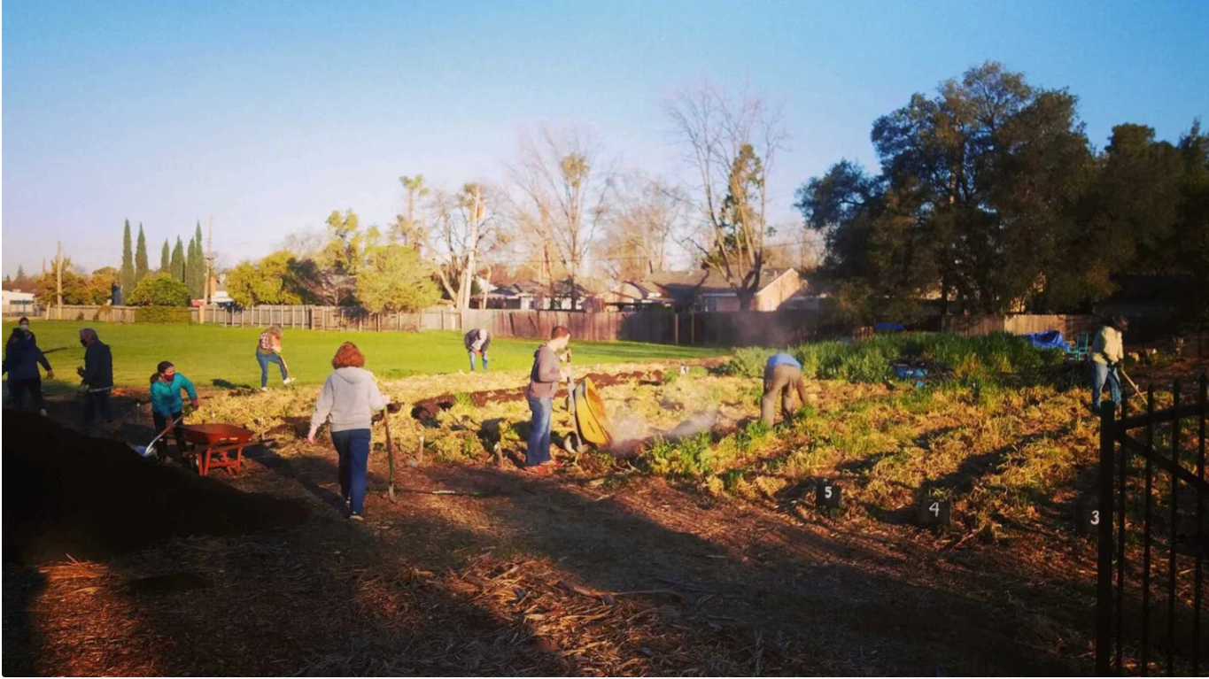 Table Farm & Table Bread 經營的社區花園。（photo credit:McElyea）